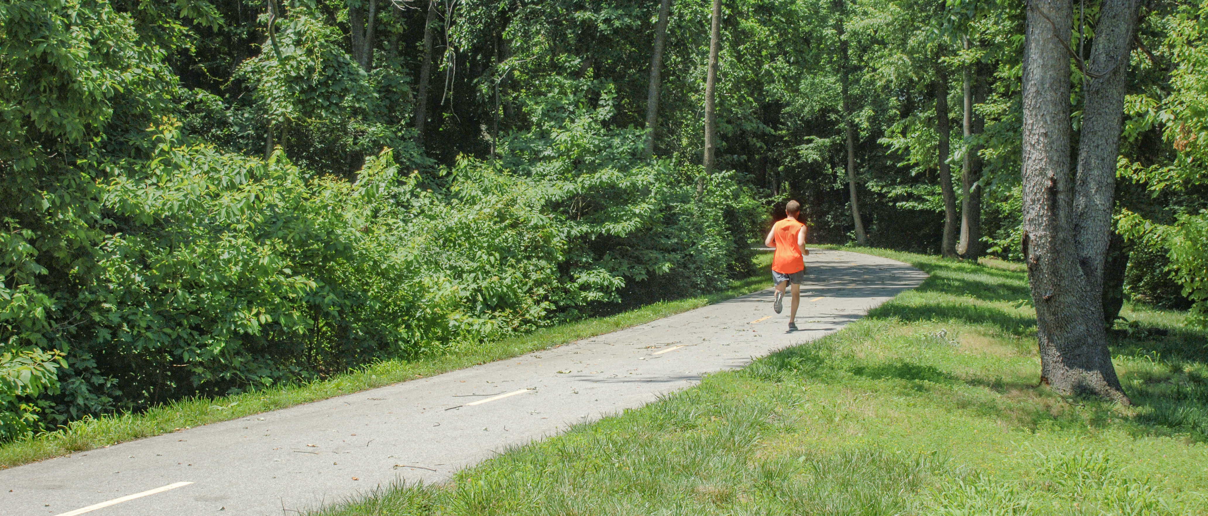 MCT Schoolhouse Trail